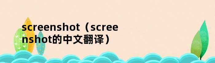 screenshot（screenshot的中文翻译）